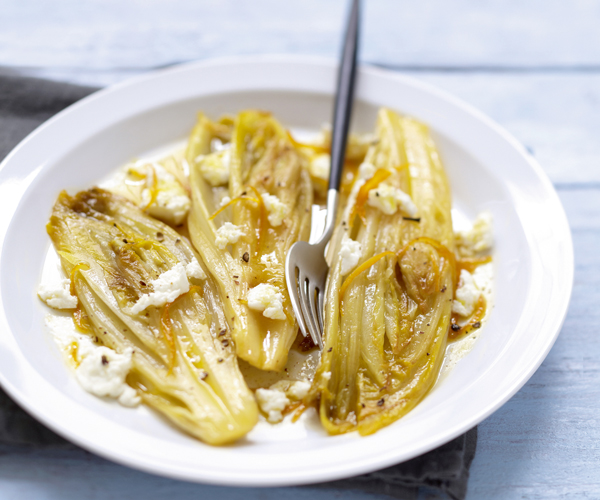 Starter recipe braised endives with orange