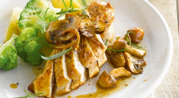 Easy recipe: Chicken with mushrooms and rosemary sauce