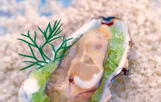 Gourmet recipe: Oysters with green apple granita